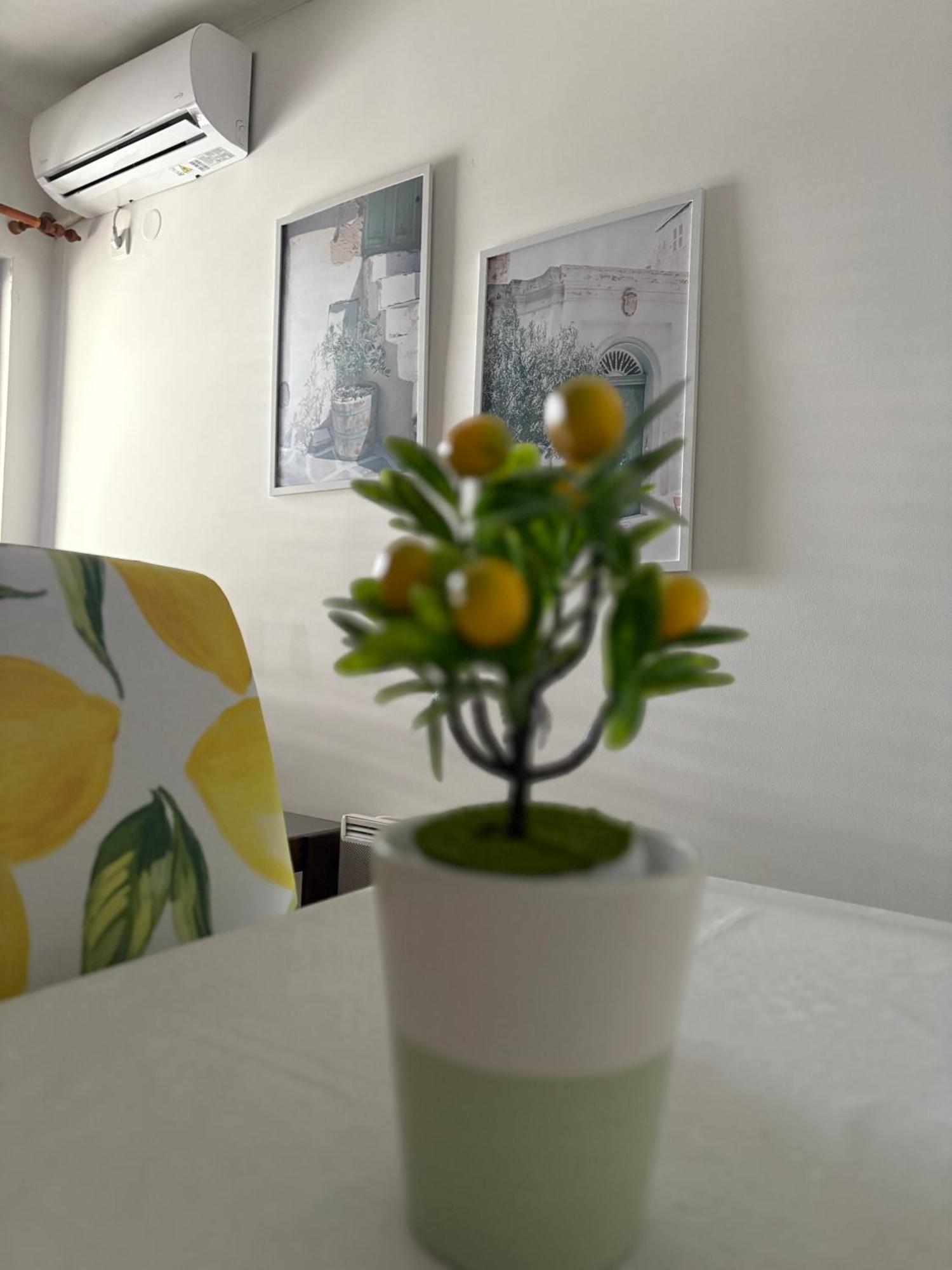 Apartments Χέρτσεγκ Νόβι Δωμάτιο φωτογραφία