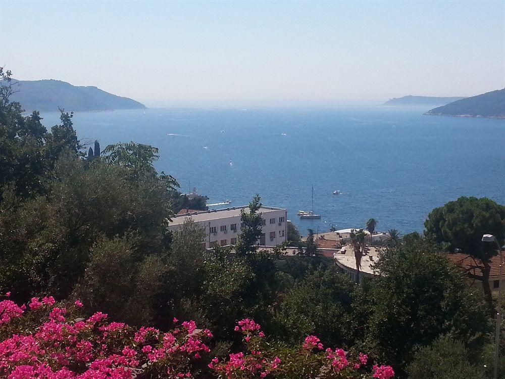 Apartments Χέρτσεγκ Νόβι Εξωτερικό φωτογραφία
