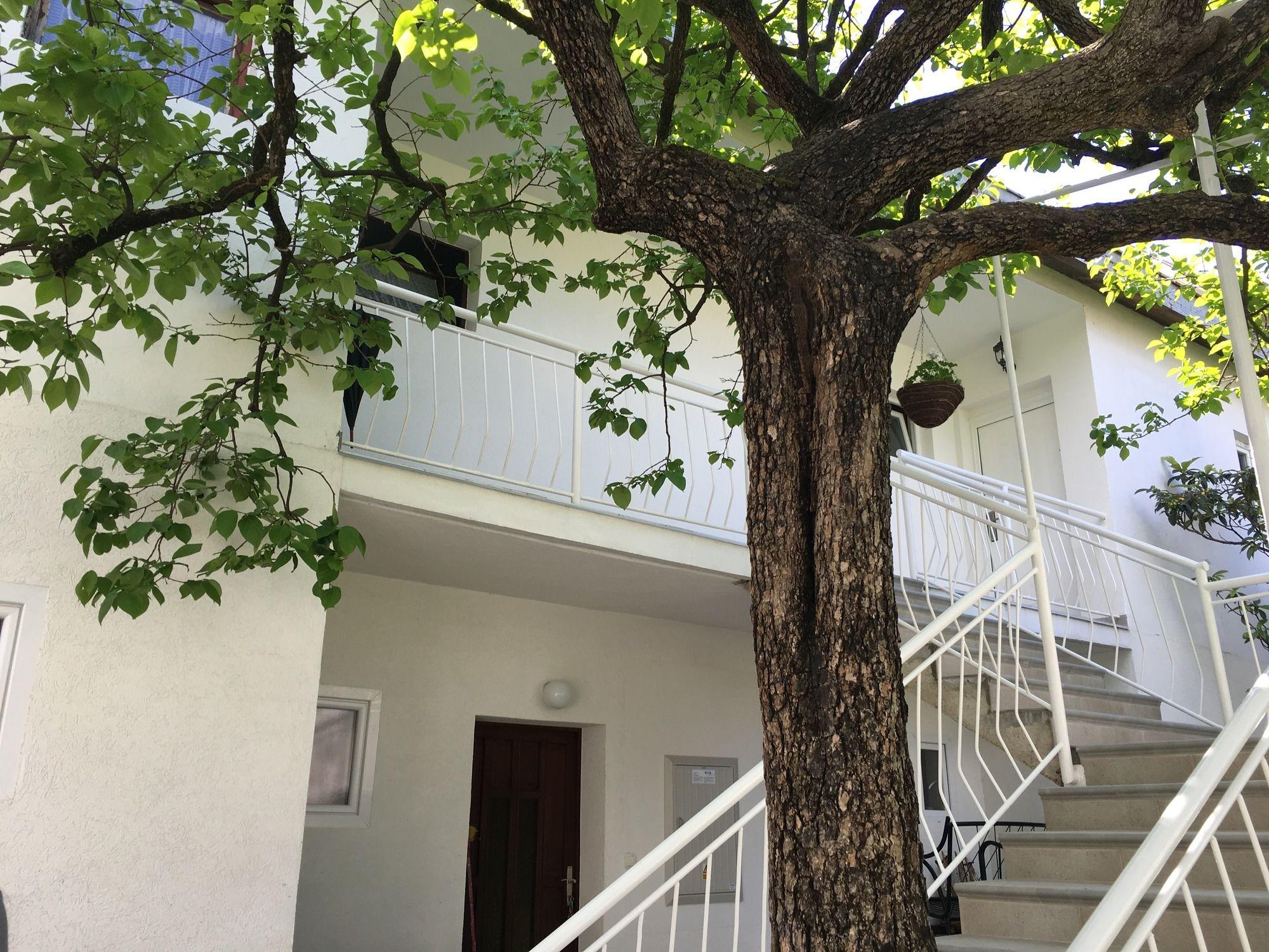 Apartments Χέρτσεγκ Νόβι Εξωτερικό φωτογραφία